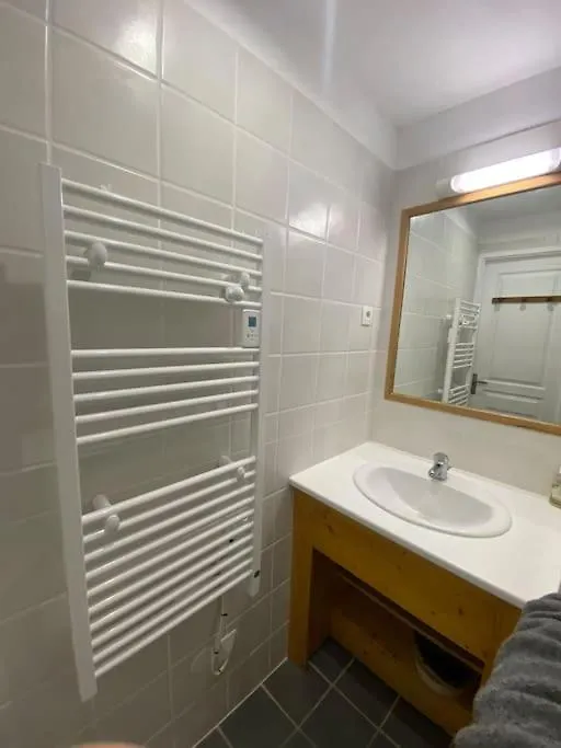 Appartement Bellevue Sur Les Hauteurs De Super-Besse Besse-et-Saint-Anastaise